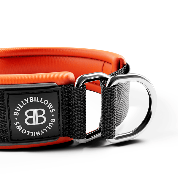 4cm Slip on Collar | Foam Padded - Black x Orange