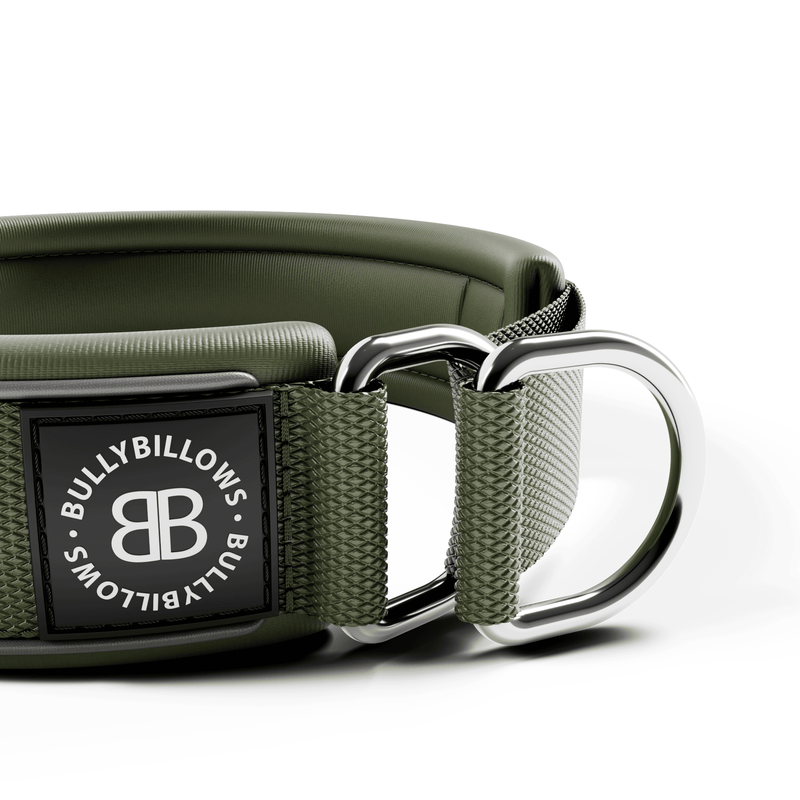 4cm Slip on Collar | Foam Padded - Khaki