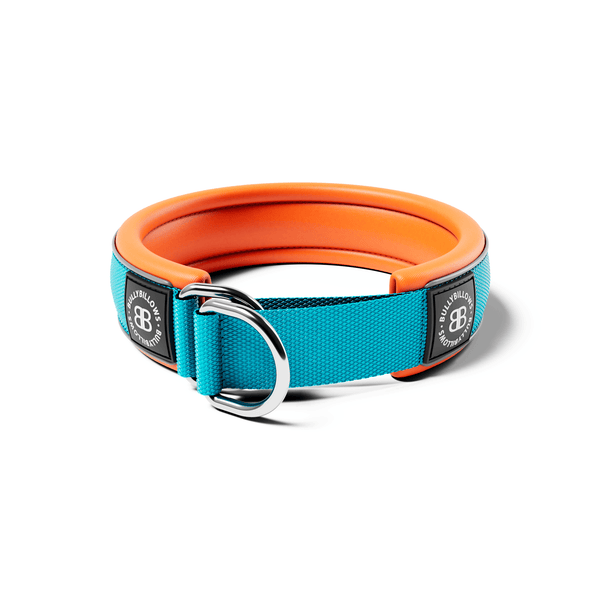 4cm Slip on Collar | Foam Padded - Light Blue x Orange