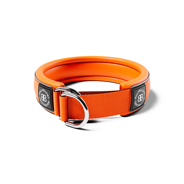 4cm Slip on Collar | Foam Padded - Orange