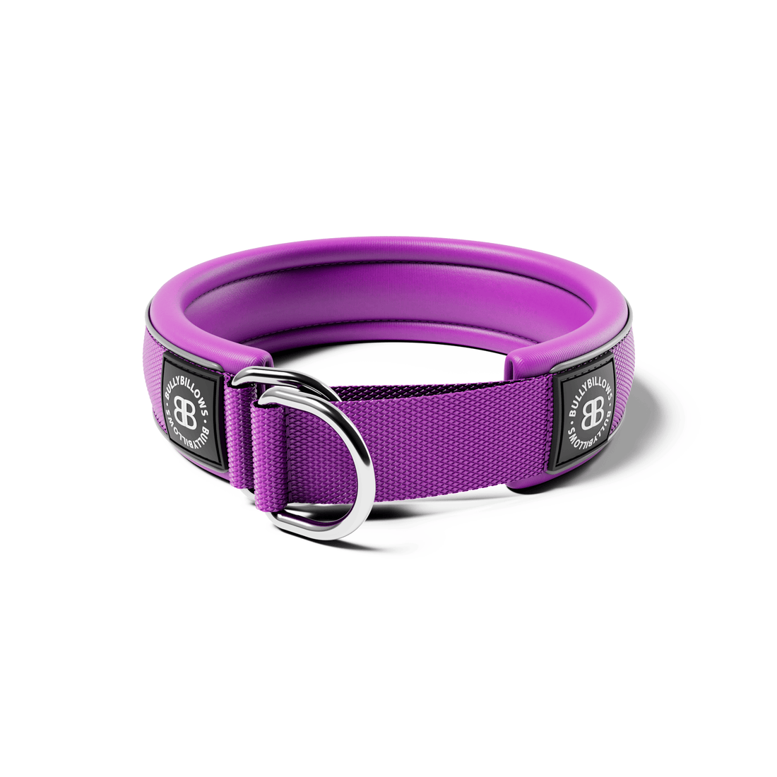 featured image of 4cm Slip on Collar | Foam Padded