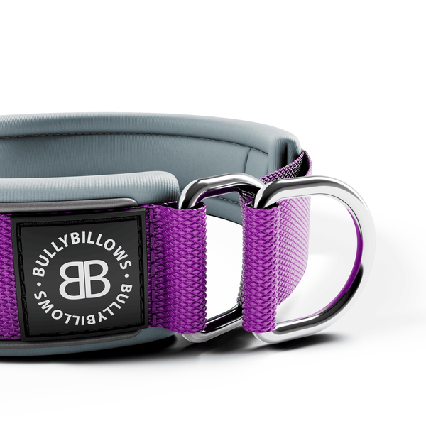 4cm Slip on Collar | Foam Padded - Purple x Metal Grey