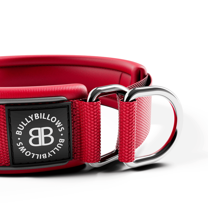 4cm Slip on Collar | Foam Padded - Red