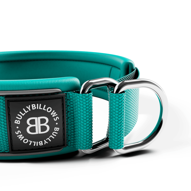 5cm Slip on Collar | Foam Padded - Turquoise