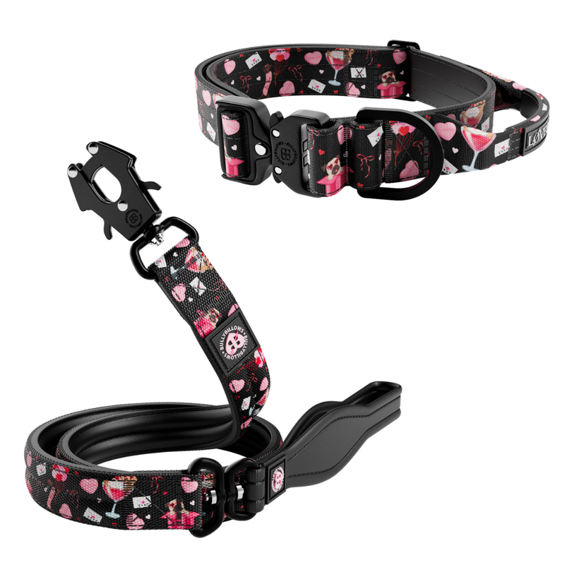 True Love 4cm Collar & Lead Bundle - Black