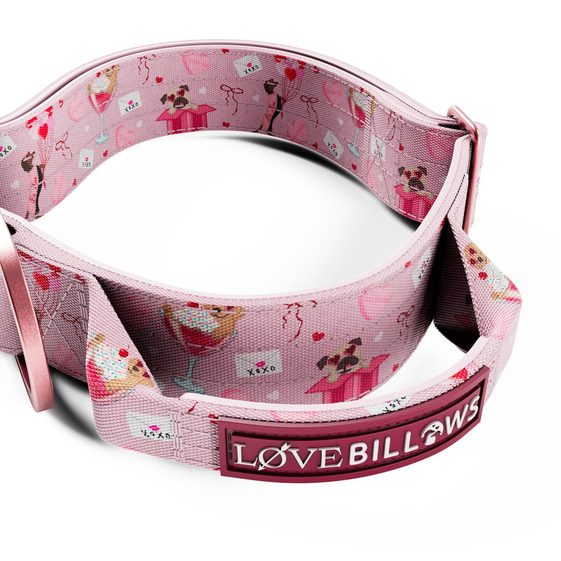 4cm Lighter Combat® Collar | Light Love Edition