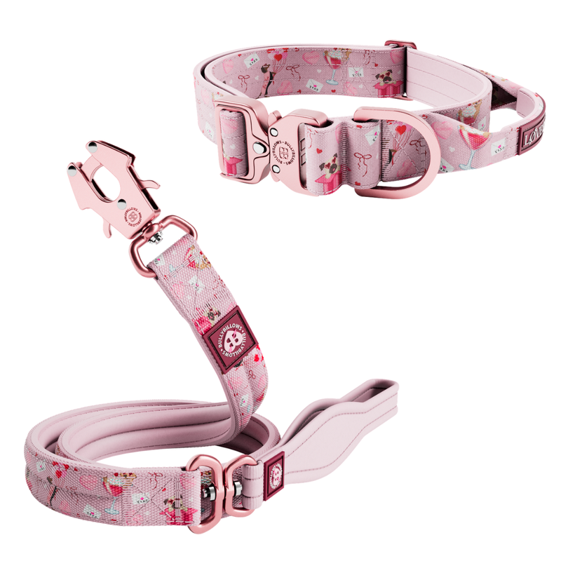 True Love 4cm Collar & Lead Bundle - Pink