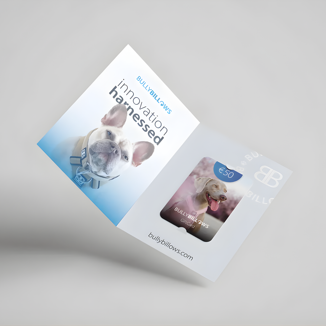 featured image of E-Gift Cards