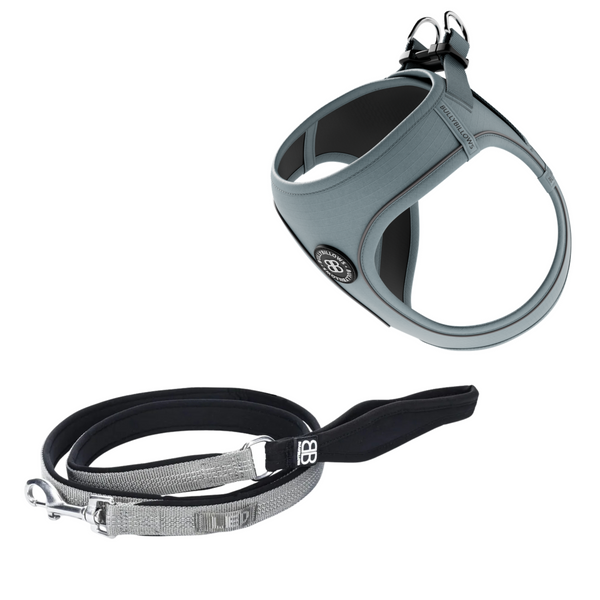Step-in Harness & Active Lead Bundle – Grey