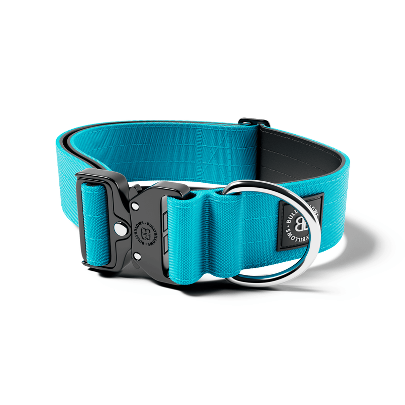 5cm Combat® Collar | NO Handle & Secure Clip - Light Blue