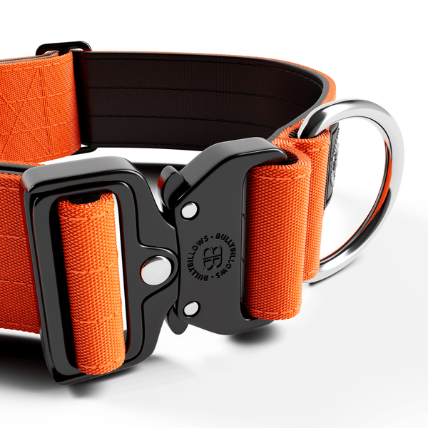5cm Combat® Collar | NO Handle & Secure Clip - Orange