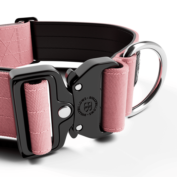 5cm Combat® Collar | NO Handle & Secure Clip - Pink