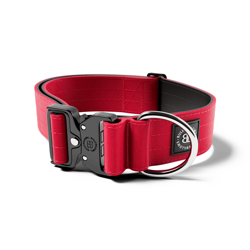 5cm Combat® Collar | NO Handle & Secure Clip - Red
