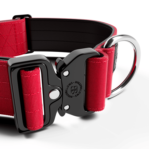 5cm Combat® Collar | NO Handle & Secure Clip - Red