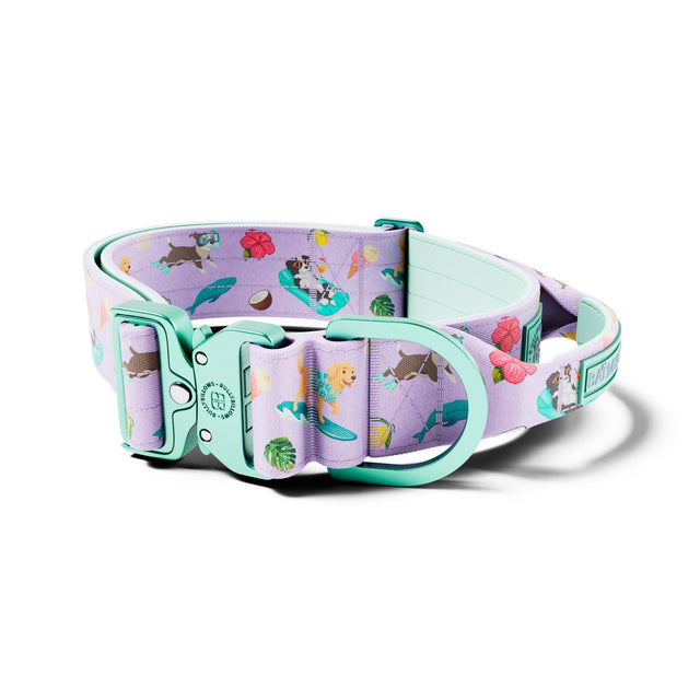 5cm Lighter Combat® Collar | With Handle & Secure Clip - BalmyBillows Purple