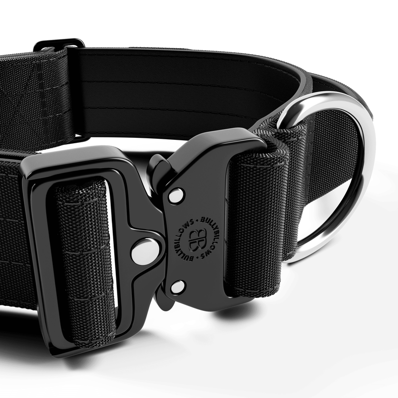 5cm Combat® Collar | With Handle & Secure Clip - Black