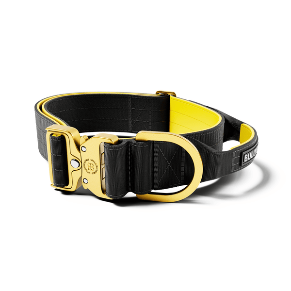 5cm Lighter Combat® Collar | With Handle Secure Clip - Black x Yellow