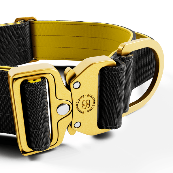 5cm Lighter Combat® Collar | With Handle Secure Clip - Black x Yellow