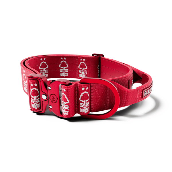 5cm Lighter Combat® Collar | With Handle Secure Clip - Nottingham Forest