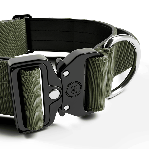 5cm Combat® Collar | With Handle & Secure Clip - Khaki