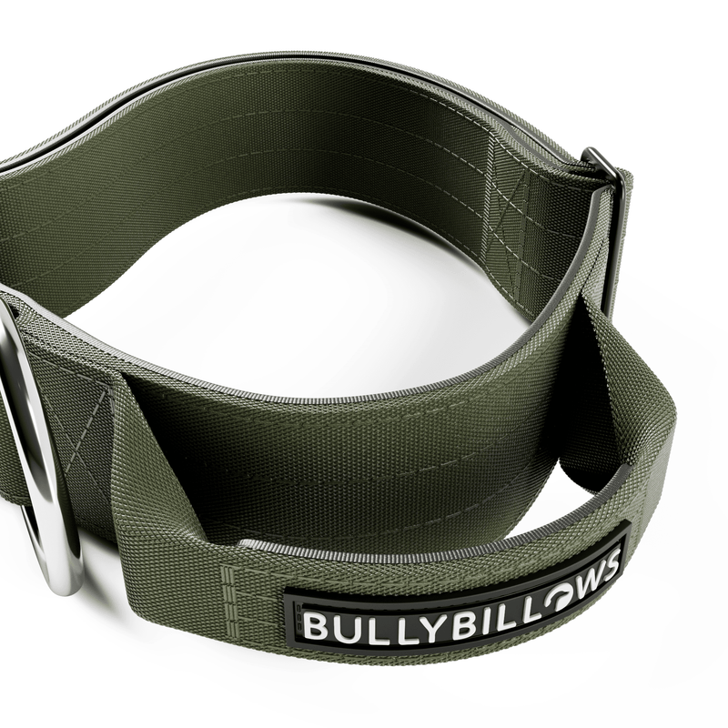 5cm Combat® Collar | With Handle & Secure Clip - Khaki