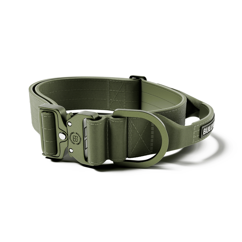 5cm Lighter Combat® Collar | With Handle Secure Clip - Khaki x Khaki