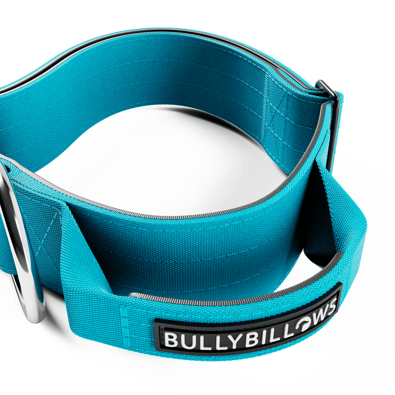 5cm Combat® Collar | With Handle & Secure Clip - Light Blue