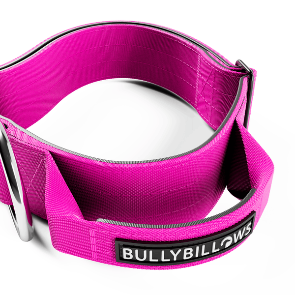 5cm Combat® Collar | With Handle & Secure Clip - Magenta