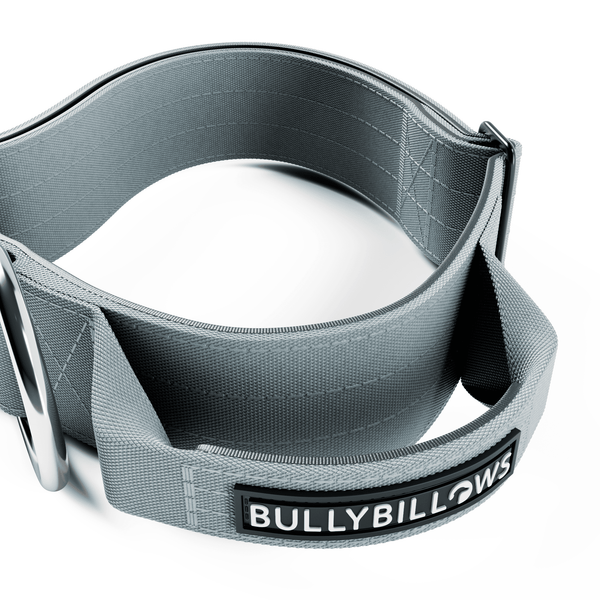 5cm Combat® Collar | With Handle & Secure Clip - Metal Grey