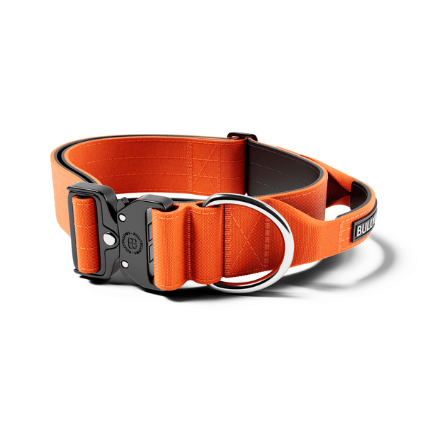 5cm Combat® Collar | With Handle & Secure Clip - Orange