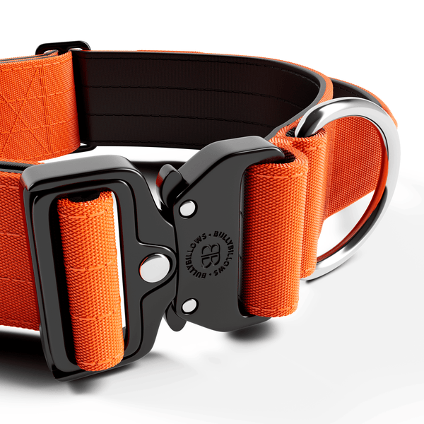 5cm Combat® Collar | With Handle & Secure Clip - Orange