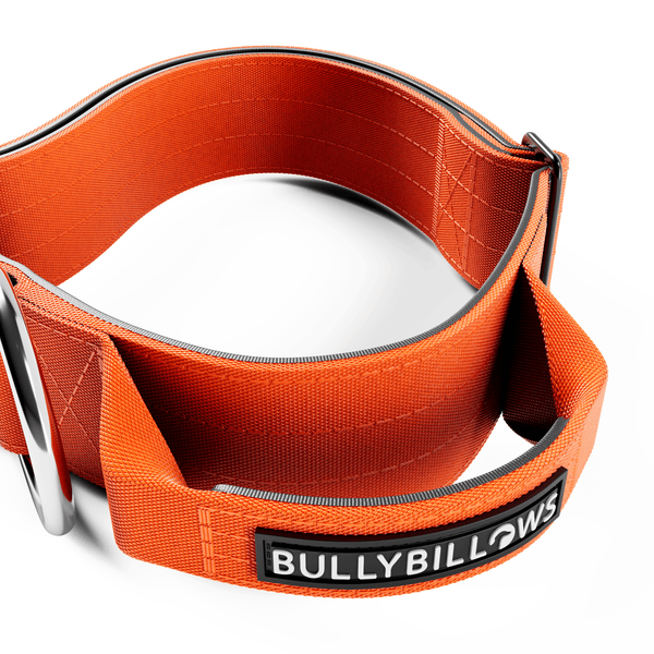 5cm Combat® Collar | With Handle & Secure Clip - Orange
