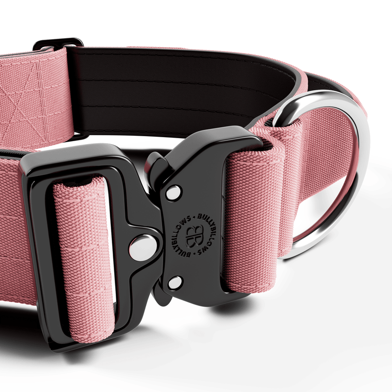 5cm Combat® Collar | With Handle & Secure Clip - Pink