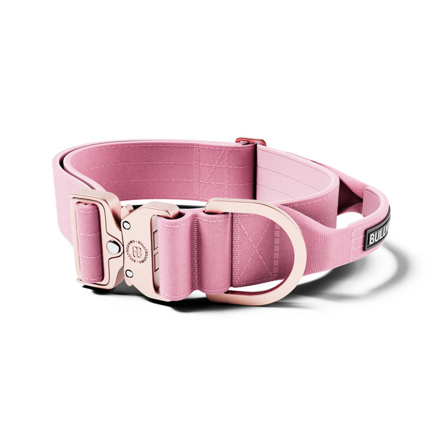 5cm Lighter Combat® Collar | With Handle & Secure Clip - Pink x Pink