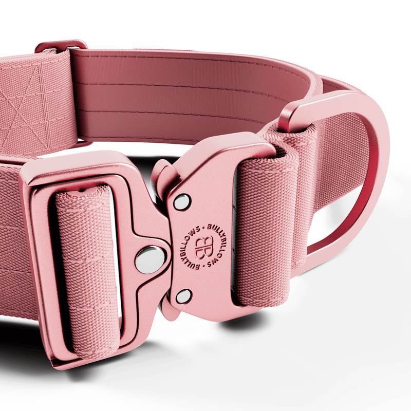 5cm Lighter Combat® Collar | With Handle Secure Clip - Pink x Pink