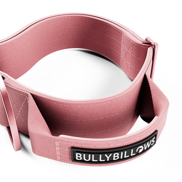 5cm Lighter Combat® Collar | With Handle Secure Clip - Pink x Pink