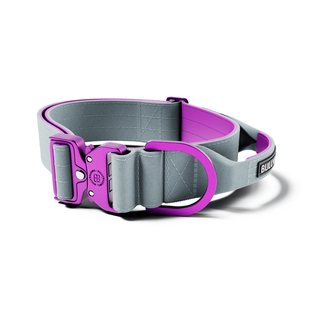 5cm Lighter Combat® Collar | With Handle & Secure Clip - Purple x Metal Grey