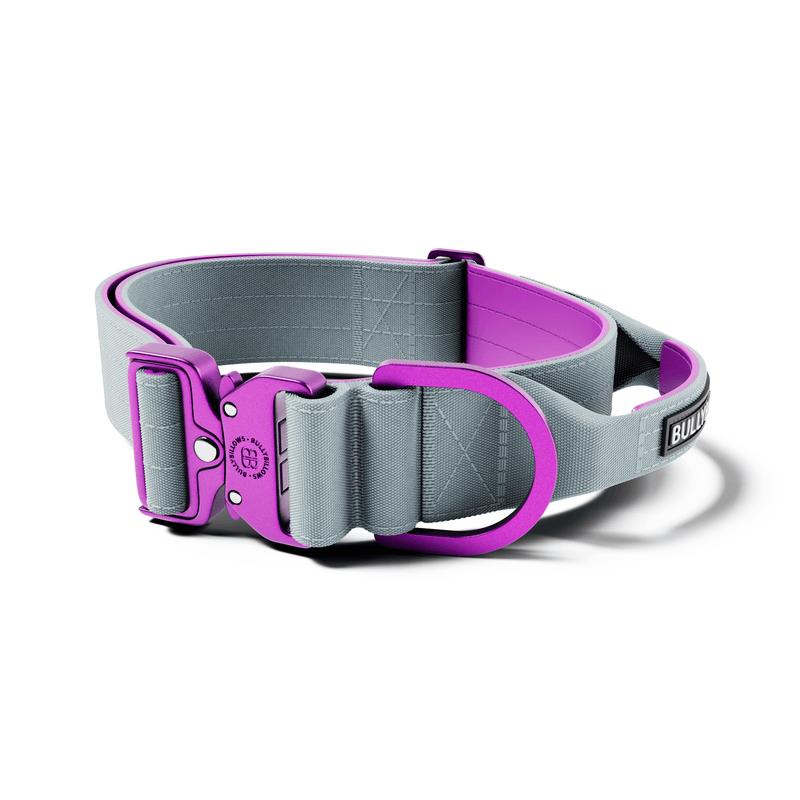 5cm Lighter Combat® Collar | With Handle Secure Clip - Purple x Metal Grey