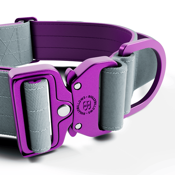 5cm Lighter Combat® Collar | With Handle Secure Clip - Purple x Metal Grey
