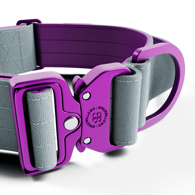 5cm Lighter Combat® Collar | With Handle Secure Clip - Purple x Metal Grey