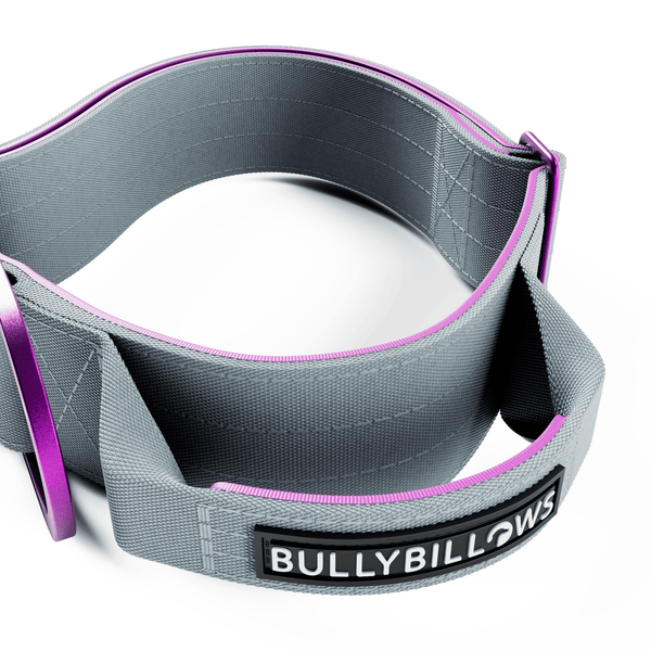 5cm Lighter Combat® Collar | With Handle Secure Clip - Purple x Metal Grey