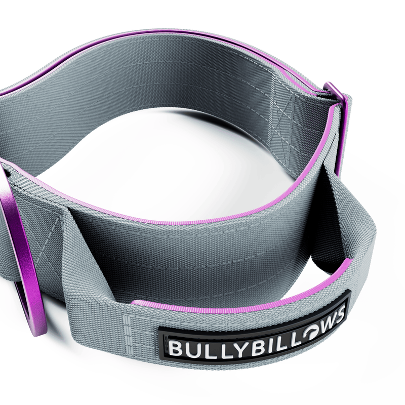 5cm Lighter Combat® Collar | With Handle Secure Clip - Purple x Metal Grey