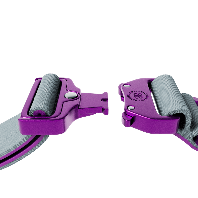 5cm Lighter Combat® Collar | With Handle Secure Clip - Purple x Metal Grey