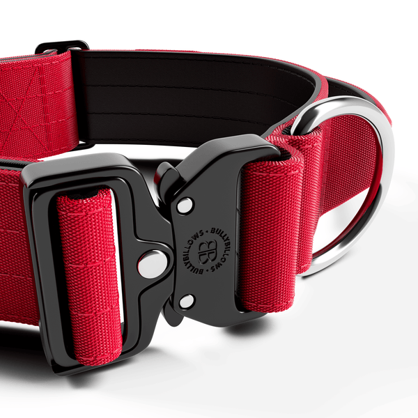 5cm Combat® Collar | With Handle & Secure Clip - Red
