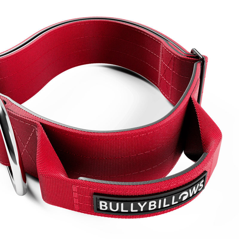 5cm Combat® Collar | With Handle & Secure Clip - Red