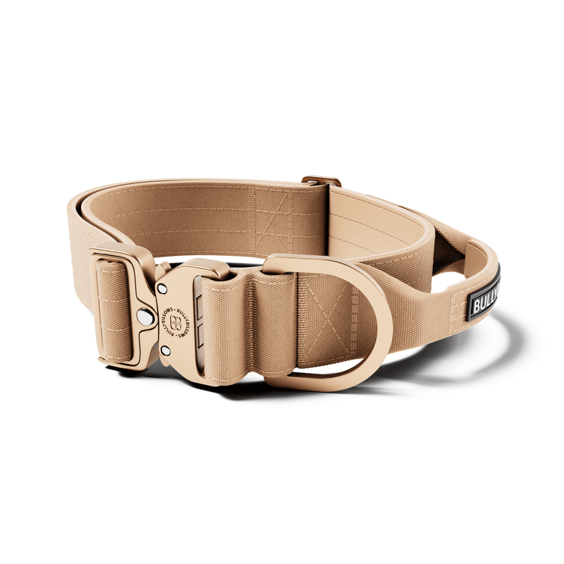 5cm Lighter Combat® Collar | With Handle Secure Clip - Tan x Tan