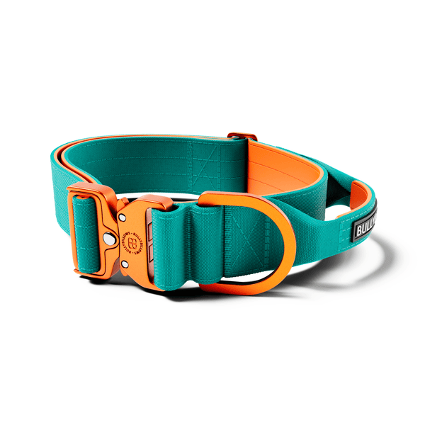 5cm Lighter Combat® Collar | With Handle Secure Clip - Turquoise x Orange