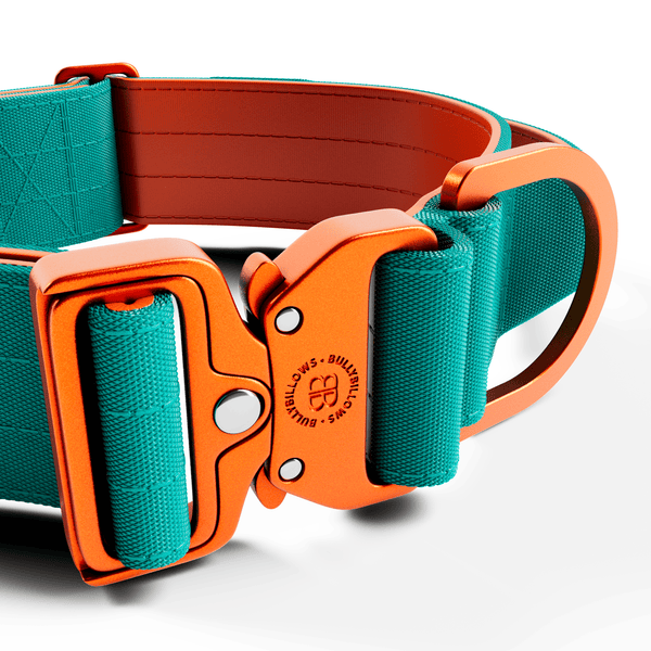 5cm Lighter Combat® Collar | With Handle Secure Clip - Turquoise x Orange