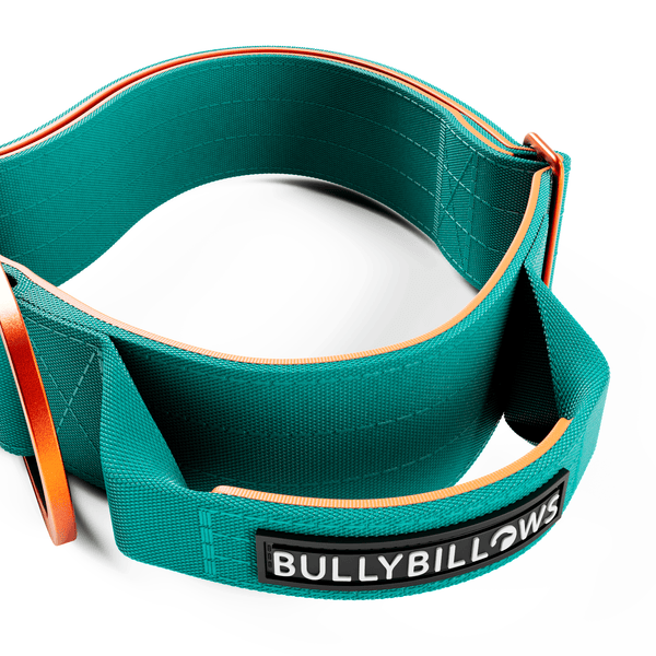 5cm Lighter Combat® Collar | With Handle Secure Clip - Turquoise x Orange