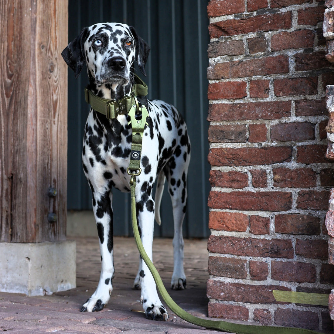 featured image of 4cm LIGHTER Combat® Collar | With Handle & Secure Clip - Khaki x Khaki